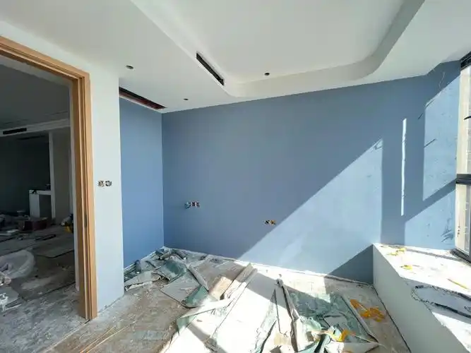 立邦灰蓝奶酪薄荷杏子灰杏子灰好温柔